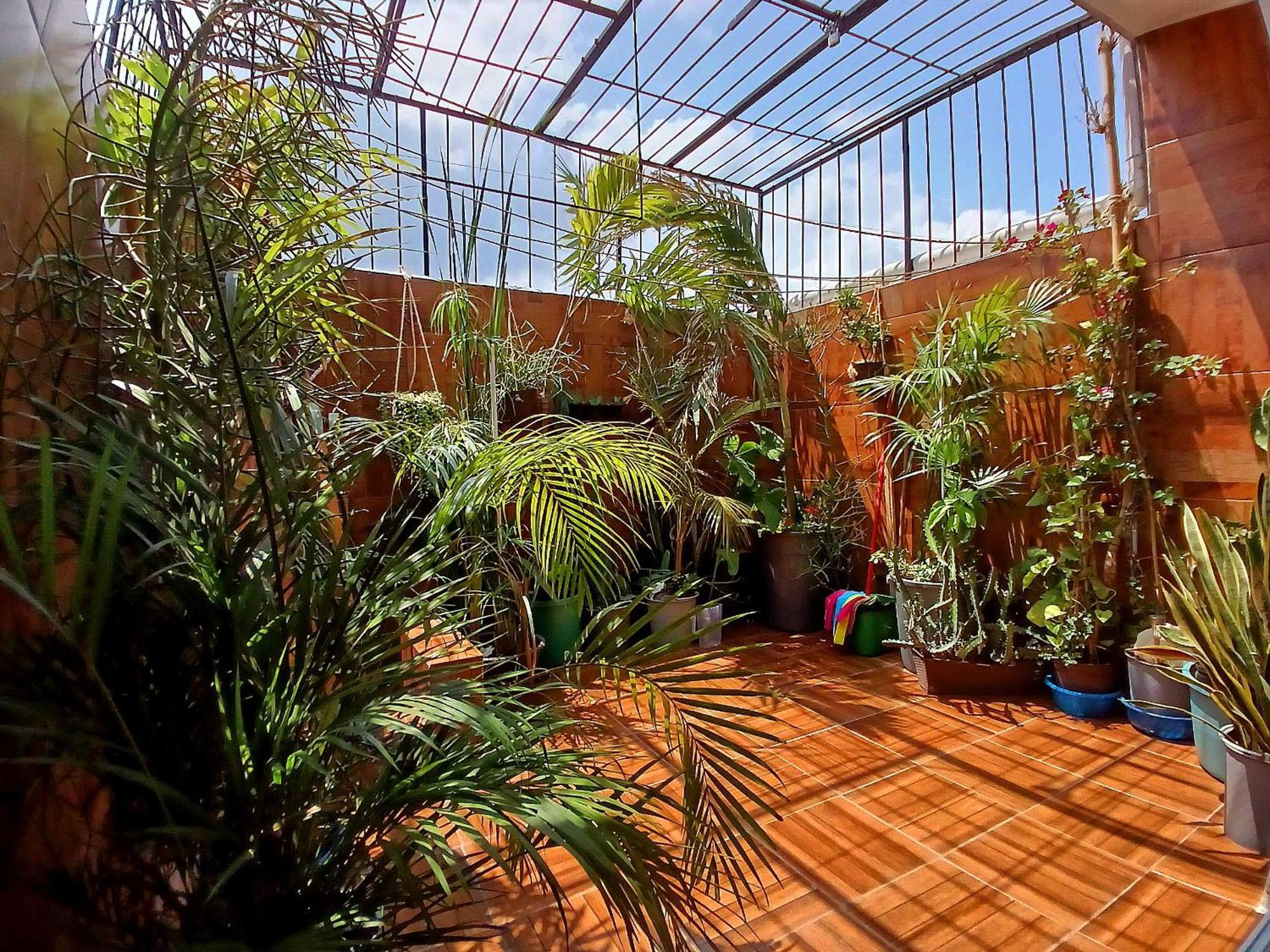 Vila Casa Del Chef Lupita Campeche Exteriér fotografie